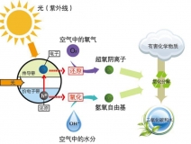 什么甲醛治理辦法效果好持續時間長？