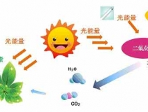 家中甲醛超標，什么才是甲醛治理的正確姿勢？