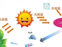 甲醛治理用什么辦法最正確？這三點常見的除甲醛辦法其實是誤區