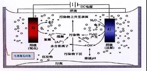 我買了一個甲醛檢測儀，吹口氣后發現原來我才是“地表最強”污染源！