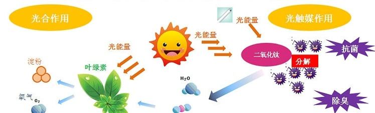 甲醛治理用什么辦法最正確？這三點常見的除甲醛辦法其實是誤區