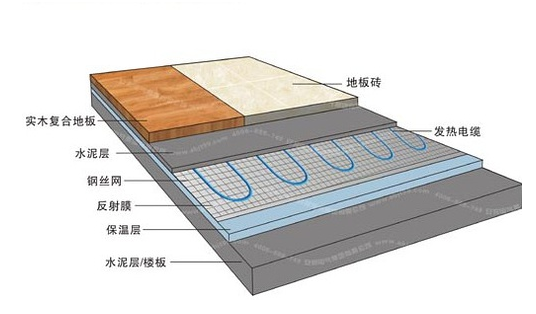 冬季，它們成了甲醛的幫兇