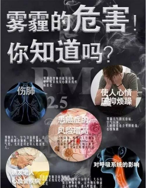 除甲醛公司越來越多，背后的原因是？