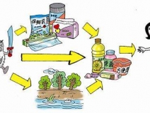 食品中有塑化劑嗎？這些食品中含有大量塑化劑，食用時一定要注意！