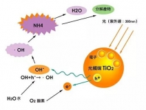 現在光觸媒的價格是多少？