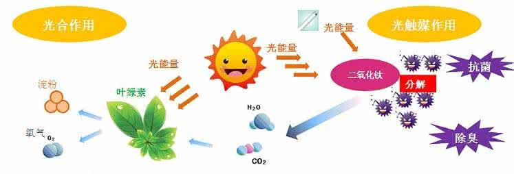 家中甲醛超標，什么才是甲醛治理的正確姿勢？